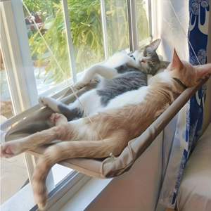 강력 흡착 창문 부착형 고양이 해먹 캣타워 선베드