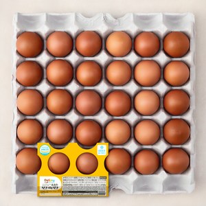 딜리조이 촉촉한 반숙란