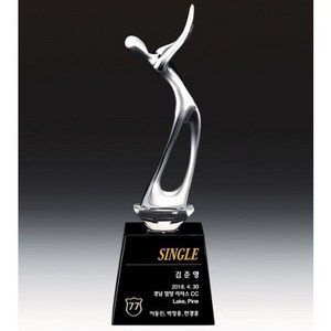 ST-05 골프 홀인원패 싱글패 이글패 대회 우승 트로피제작
