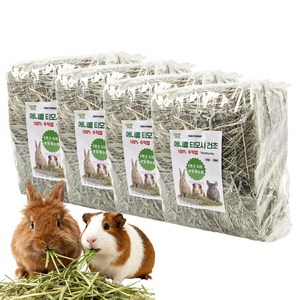 애니몰파크 1번초 압축 티모시 소동물 토끼 건초 3kgx4, 4개, 3kg