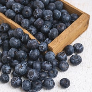 리얼프룻 명품과일 생 블루베리 14-16mm 16-18mm, 12박스, 125g (특대과 16-18mm)