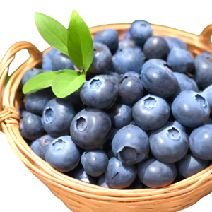 참새마켓 건강한 생블루베리, 5개, 1팩(약 125g)