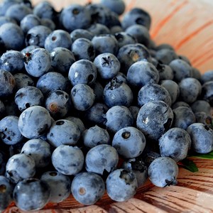 프리미엄 국내산 생 블루베리 (1팩당 100g), 1개, 대과 (16-18mm) 2팩