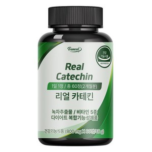 퍼니트 리얼 카테킨