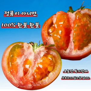 [정품이아니면환불] 할머니농법 고당도 부산 대저토마토