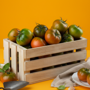 대저토마토 짭짤이 고당도 신선한 과일, 1박스, 2.5kg (대과 L~2L)