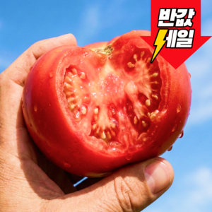[반값할인] 딱100명만 천상의맛 특품 완숙토마토