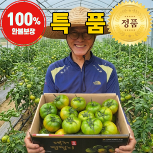 [부산정품] 대저토마토 짭짤이 오리지널