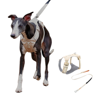 요리죠리하우스 쭈랜드 하네스 리드줄세트 소중대형견, 베이지, 1개