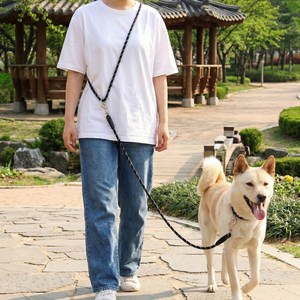 멍담 핸즈프리 리드줄 튼튼소재 빛반사 산책줄