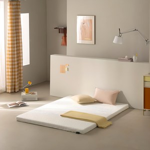 지누스 라돈테스트 기준충족 베이직 메모리폼 토퍼