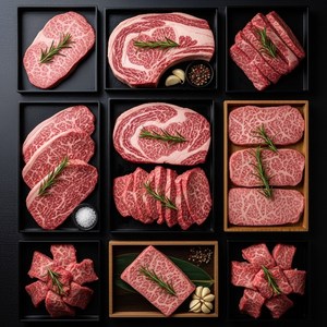 한국농수축산 국내산 1등급 소고기 모둠 꽃갈비살 + 등심 + 채끝살 + 부채살