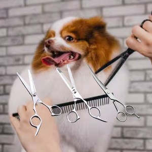 셀프 그루밍 안전 커팅 펫 미용 가위 트리플 세트
