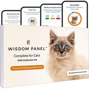 Wisdom Panel 고양이 DNA 타액 70품종 25가지 형질 건강상태 테스트 키트