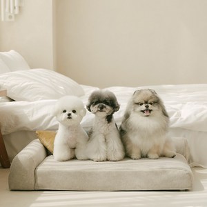 펫더팬 프리미엄 강아지 고양이 애견 침대 소파 방석 슬개골 보호, 소프트 크림, 1개