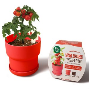 메이크정글 빅 가드닝 키트 식물 키우기