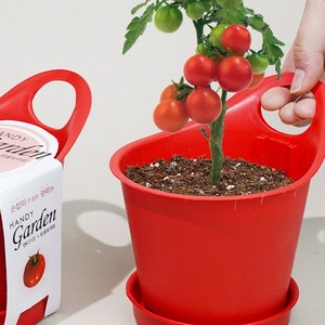 핸디가든 - 방울토마토/화분키우기,씨앗심기,재배세트