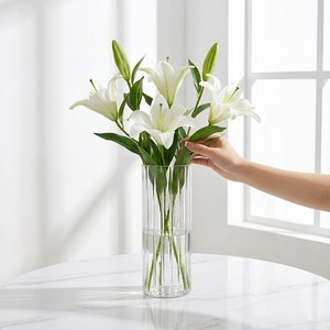 앙플랜트 웨이브 깨지지않는 아크릴 화병, 투명