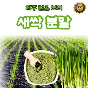 제주산 100% 보리새싹분말 100g/프리미엄 가족건강 힐링푸드/하루 한 스푼 슈퍼푸드/디톡스 면역력 피로회복, 10개, 100g