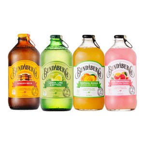 분다버그 4종 혼합믹스 망고 핑크자몽 진저비어 레몬라임 375ml x 12병