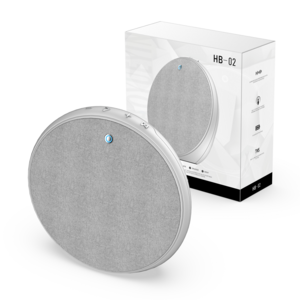 비파노 맥스 30W 무선 블루투스 스피커 고출력 프리미엄, 실버, HB-02