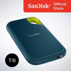 샌디스크 외장SSD Extreme 익스트림 방수 방진 휴대용 포터블 E61, 1TB, 몬터레이