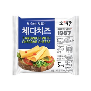 동원 소와나무 체다치즈 100g(20g x 5매) x 10개, 100g, 상세 설명 참조