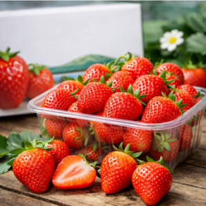 제주 설향 딸기 산지직송 고당도 프리미엄 생딸기 당일수확 특품