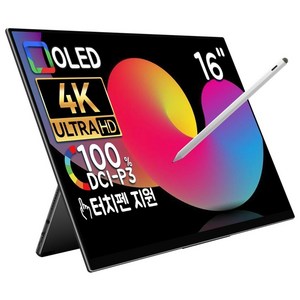 EHOMEWEI 이홈웨이 포터블모니터 휴대용모니터 듀얼모니터 서브모니터 모음전 2.5K 4K OLED QLED 100%DCI-P3 맥OS 윈도우 덱스 게임콘솔 미니PC 호환, E16R9, 41cm