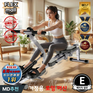 플렉스몰 로잉머신 가정용 홈트 저소음 유산소 노젓기 코어 실내 전신운동