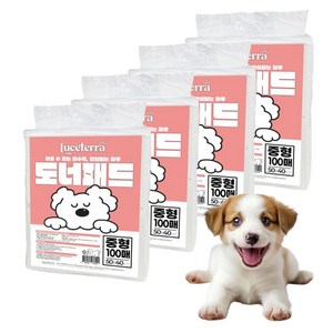 (동물병원추천 신제품) 루쎄테라 도너패드 강아지 가성비 실속형 배변패드 흡수력 새지않는 애견패드