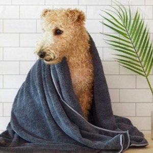 펫아미고 퀵드라이 펫타올 가운형 2가지 사이즈 (ML)  극세사 강아지타올 고양이타올 대형견타올 리트리버