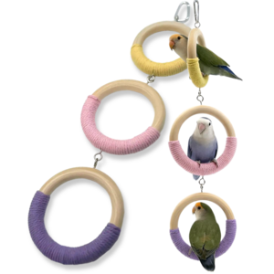 LETOJ 앵무새 파스텔 3단 링