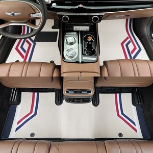 전차종 뉴 코일매트 라인 디자인 카매트, 브라운