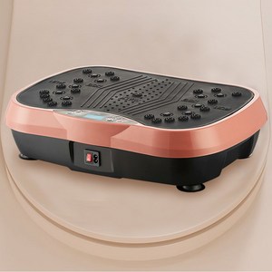 가정용 유산소 다이어트 덜덜이 실내운동 홈트 전신 전동 진동 운동기구 리모컨증정