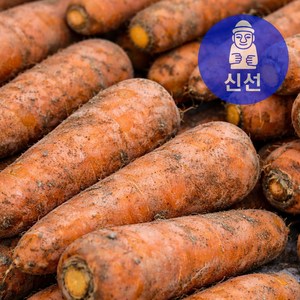 제주신선 구좌 당근 산지직송 재구매율1위