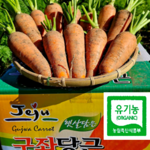 제주구좌 햇당근 / 흙당근 세척당근 주스용 요리용 3kg 5kg 10kg [원산지:국산(제주특별자치도 제주시 구좌읍)], 1개, B. 햇당근 흙당근(특상품 혼합) 10kg