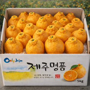 [단독초특가] 제주 특상품 초고당도 한라봉, 1박스, 특상품 중과 10kg