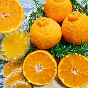 [맛없음반품] 새콤달콤한 한라봉 산지직송 선물용 가정용, 가정용포장, 한라봉 특대과 10kg(19~31과), 1박스