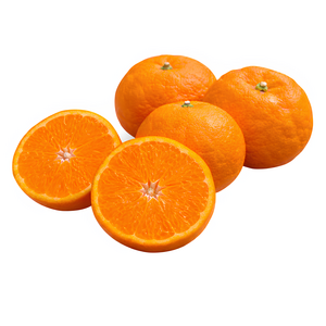 [재구매율1위] 16brix꿀당도 제주 카라향 귤