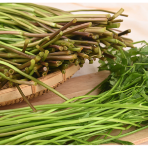 청도 한재 미나리, 1박스, 1kg