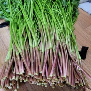 당일수확 무농약 한재 미나리 1KG, 1KG, 1개