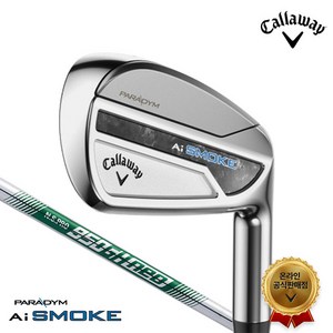 캘러웨이 패러다임 AI스모크 남성 스틸 9아이언[NS 950 Neo5~PAGS]