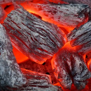 진천 참숯 불맛 깊은 진한 참나무 숯 향 업소용 참숫 흑탄, 20kg, 1개