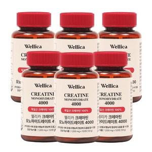 웰리카 프리미엄 크레아틴 모노하이드레이트 4000, 6개, 120정