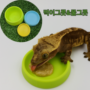 보물찾기 크레 먹이그릇 밥그릇  크레스티드게코 파충류 용품  사육장 꾸미기 도마뱀 물그릇 먹이용품 친환경 소재 소 중 대 사이즈