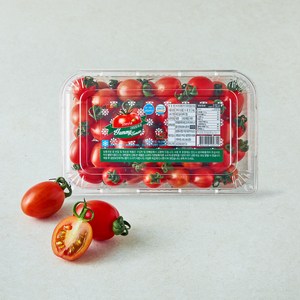 [로켓프레시] 야미 스테비아 대추방울토마토