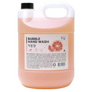 순담 버블핸드워시 4L 1개 거품형 손세정제 자몽향, 1개, 4L