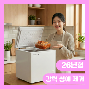 신영전자 소형 김치냉장고 저소음 1등급 뚜껑형 냉동고 겸용 자취방 원룸 1인가구 기숙사, A-58L