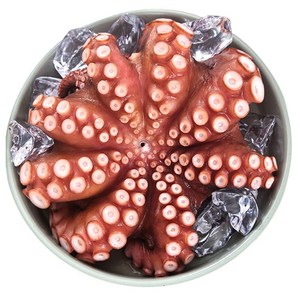 국산 자숙 문어 손질 세척 데친 숙회 제수용 국내산 손질 문어 한마리 500g ~ 2.4kg, 1개, 900~1kg (자숙문어)